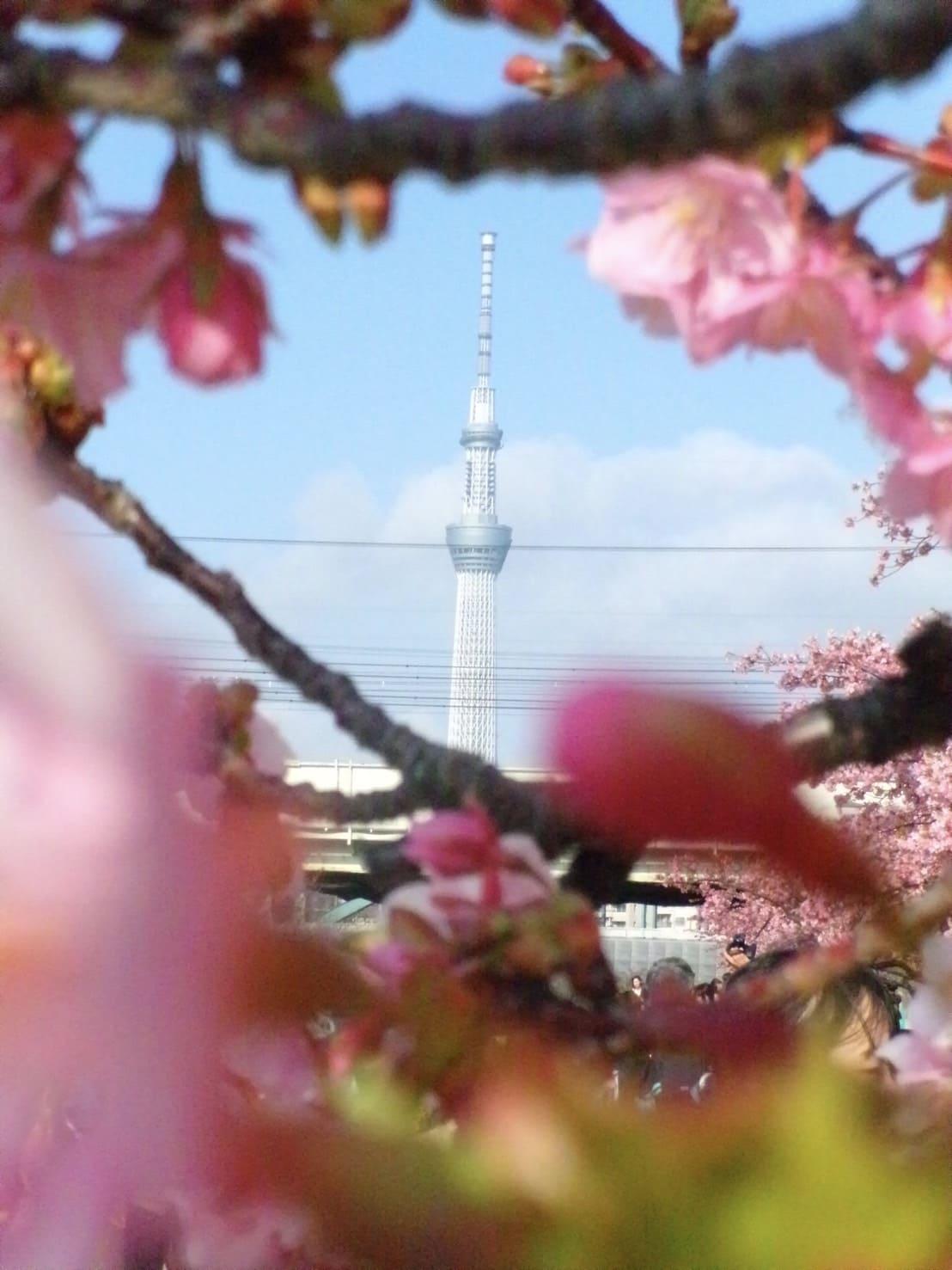 【南葛SC】2026年2月3.jpg