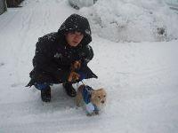 06_niigata20110311.jpg