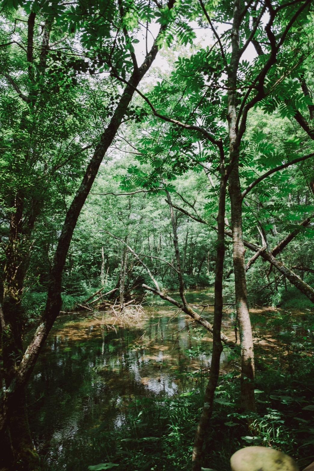 写真4.jpg