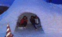 01_hokkaido20110218.jpg