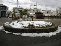 02_tokiwagi20120120.jpg