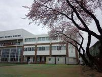 02_tokiwagi20120420.jpg